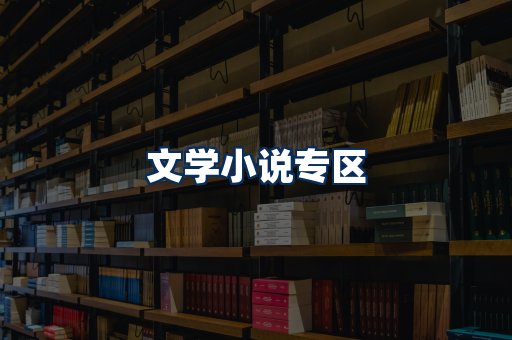文学小说PDF展示